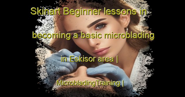 Skinart Beginner lessons in becoming a basic microblading in Eskisor area | MicrobladingTraining | MicrobladingClasses | SkinartTraining-Turkey